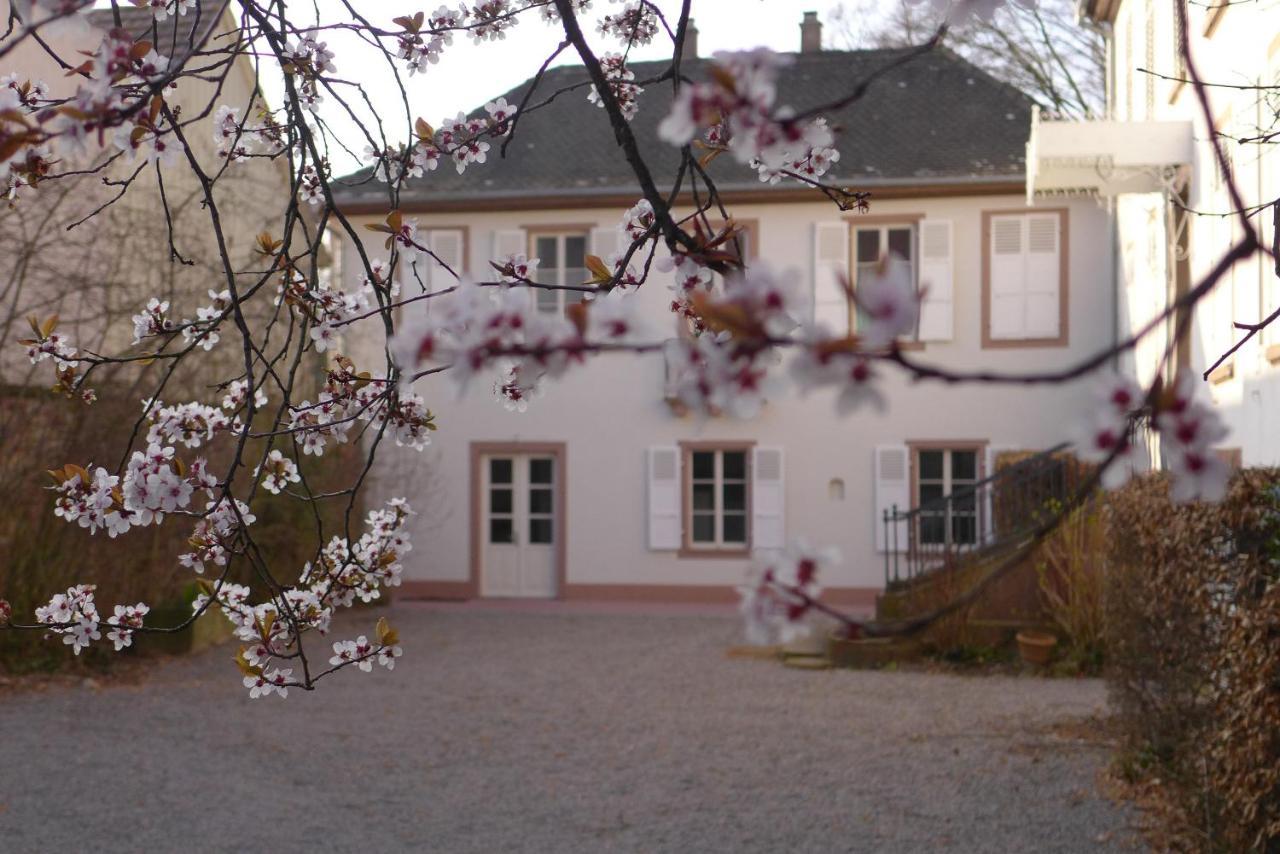 La Maison Carre Wolxheim Exterior foto